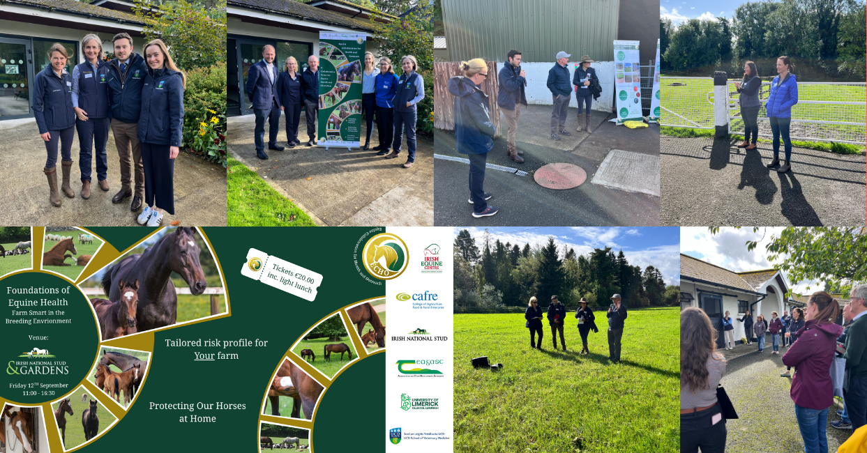 Photo collage from the “Foundations of Equine Health – Farm Smart in the Breeding Environment” event at the Irish National Stud & Gardens. Images show UCD colleagues Dr Vivienne Duggan, Dr Michael Duggan, Dr Jennie Henderson and Aoife O’Kane with fellow speakers and participants; groups listening to outdoor presentations beside stables and in a grassy field; and the event poster featuring mares an